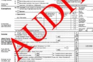 IRS AUDIT NOTICE – What NOT to do!!!!