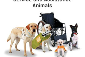 US Government Enforces Laws re Assistance Animals and Warns Coops and Condos