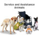 US Government Enforces Laws re Assistance Animals and Warns Coops and Condos